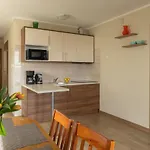 Golden Lofer Apartment *